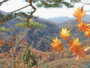夢(mèng)幻特技攻略大揭秘，掌握特技，暢游夢(mèng)幻世界！