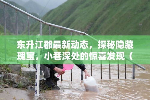 東升江郡最新動態(tài)，探秘隱藏瑰寶，小巷深處的驚喜發(fā)現(xiàn)（2024年11月13日）