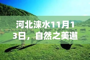 河北淶水11月13日，自然之美邂逅之旅