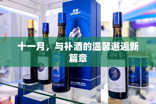 十一月，與補酒的溫馨邂逅新篇章