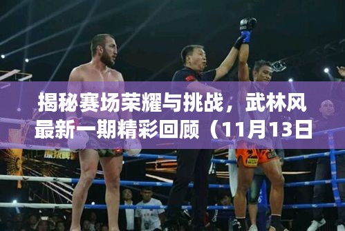 揭秘賽場榮耀與挑戰(zhàn)，武林風最新一期精彩回顧（11月13日）