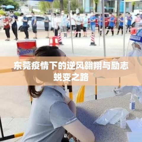 東莞疫情下的逆風(fēng)翱翔與勵(lì)志蛻變之路