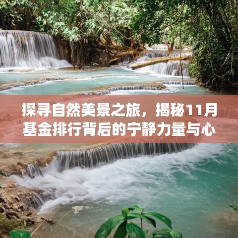 探尋自然美景之旅，揭秘11月基金排行背后的寧?kù)o力量與心靈之旅