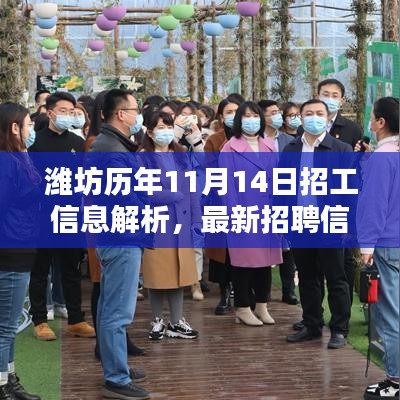 濰坊歷年11月14日招工信息解析，最新招聘信息深度分析與用戶體驗(yàn)透視