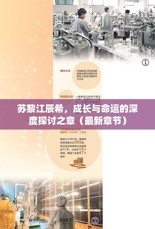 蘇黎江辰希，成長(zhǎng)與命運(yùn)的深度探討之章（最新章節(jié)）
