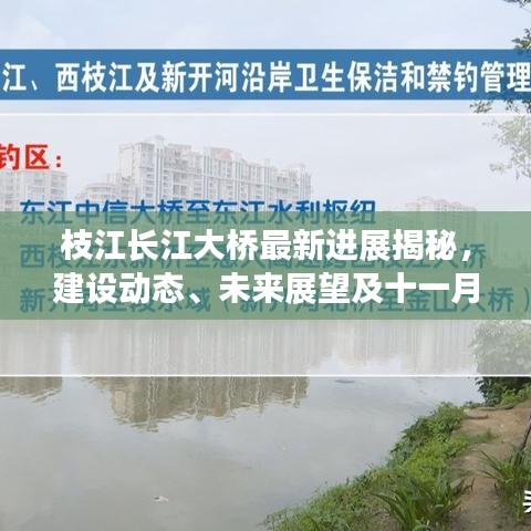 枝江長(zhǎng)江大橋最新進(jìn)展揭秘，建設(shè)動(dòng)態(tài)、未來(lái)展望及十一月最新動(dòng)態(tài)更新