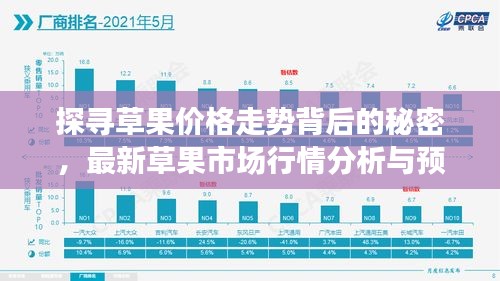 探尋草果價(jià)格走勢(shì)背后的秘密，最新草果市場(chǎng)行情分析與預(yù)測(cè)（2024年11月）