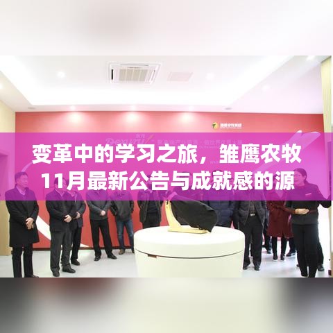 變革中的學(xué)習(xí)之旅，雛鷹農(nóng)牧11月最新公告與成就感的源泉