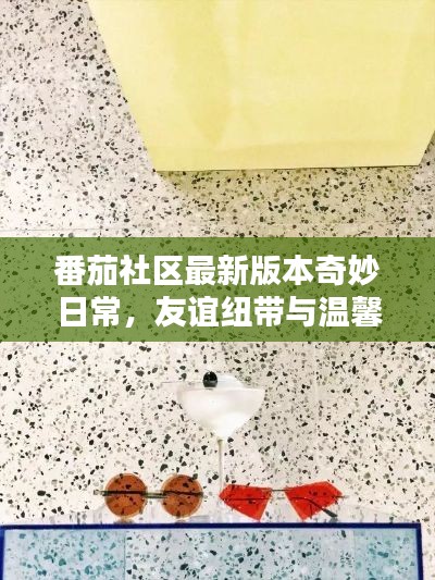 番茄社區(qū)最新版本奇妙日常，友誼紐帶與溫馨陪伴的奇妙體驗(yàn)