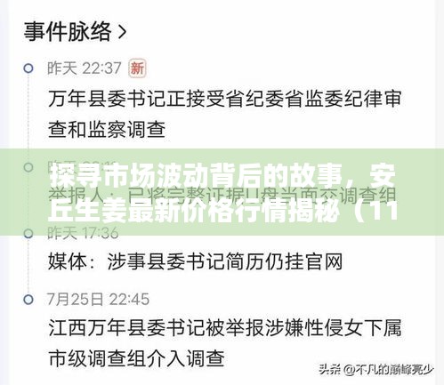 探尋市場(chǎng)波動(dòng)背后的故事，安丘生姜最新價(jià)格行情揭秘（11月14日）
