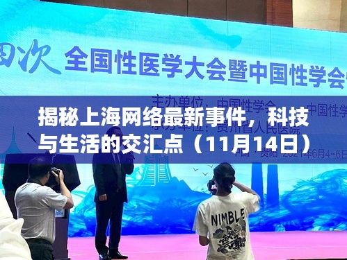揭秘上海網(wǎng)絡(luò)最新事件，科技與生活的交匯點（11月14日）