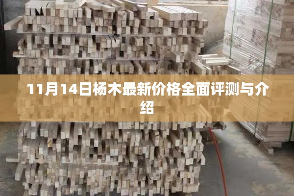11月14日楊木最新價(jià)格全面評(píng)測(cè)與介紹