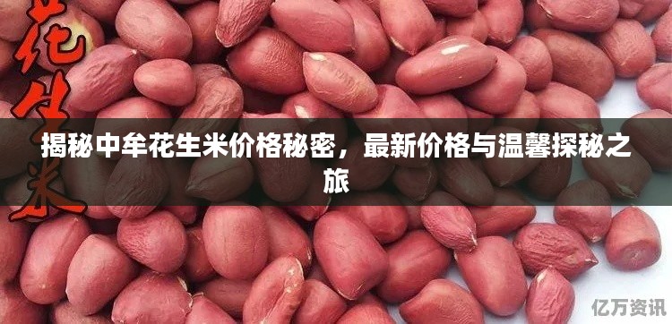 揭秘中牟花生米價(jià)格秘密，最新價(jià)格與溫馨探秘之旅