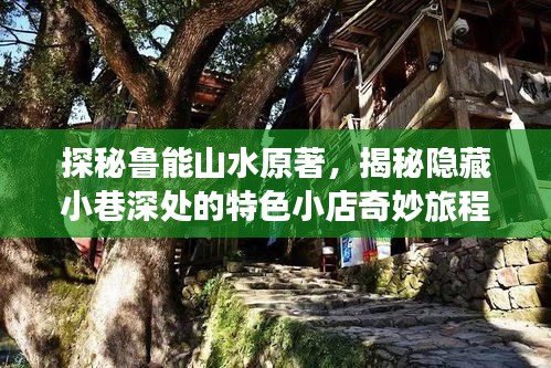 探秘魯能山水原著，揭秘隱藏小巷深處的特色小店奇妙旅程之最新消息（11月14日）