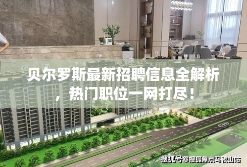 貝爾羅斯最新招聘信息全解析，熱門職位一網(wǎng)打盡！
