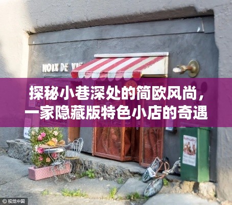 探秘小巷深處的簡歐風尚，一家隱藏版特色小店的奇遇記，揭秘最新簡歐潮流