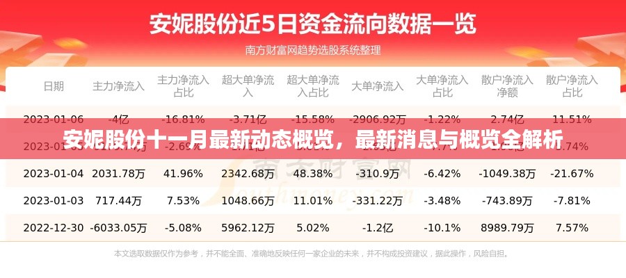 安妮股份十一月最新動態(tài)概覽，最新消息與概覽全解析