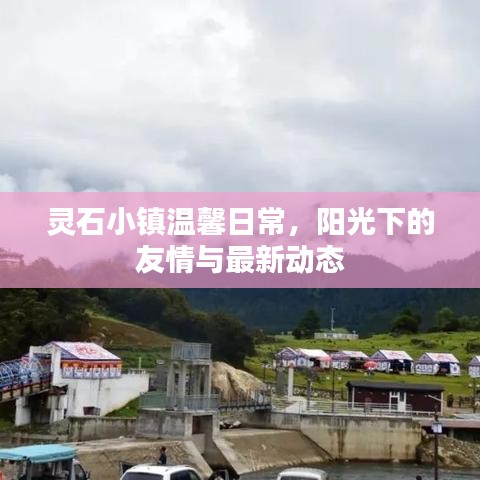 靈石小鎮(zhèn)溫馨日常，陽光下的友情與最新動態(tài)