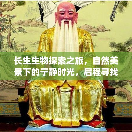 長生生物探索之旅，自然美景下的寧靜時光，啟程尋找內(nèi)心的平和與喜悅