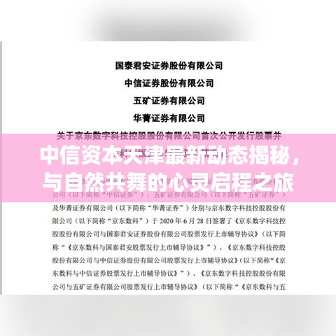 中信資本天津最新動態(tài)揭秘，與自然共舞的心靈啟程之旅