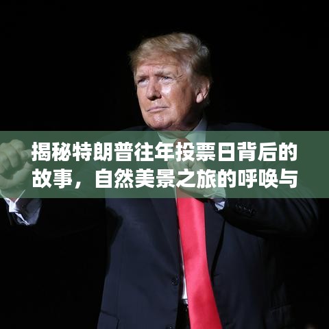 揭秘特朗普往年投票日背后的故事，自然美景之旅的呼喚與最新投票信息解析