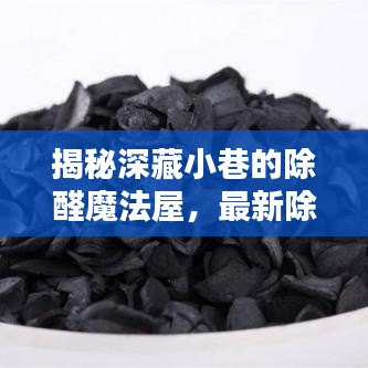 揭秘深藏小巷的除醛魔法屋，最新除甲醛技術(shù)詳解