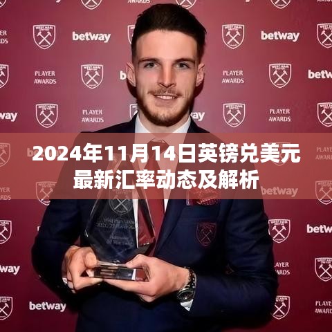 2024年11月14日英鎊兌美元最新匯率動(dòng)態(tài)及解析