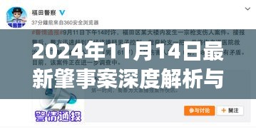 2024年11月14日最新肇事案深度解析與觀點(diǎn)闡述