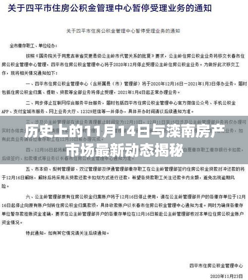 歷史上的11月14日與灤南房產(chǎn)市場(chǎng)最新動(dòng)態(tài)揭秘