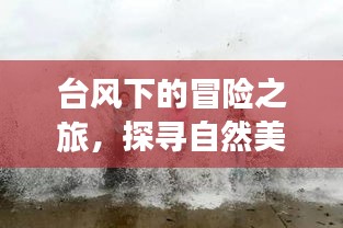 臺風(fēng)下的冒險之旅，探尋自然美景與臺風(fēng)最新路徑圖