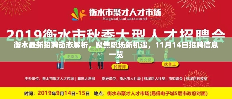 衡水最新招聘動態(tài)解析，聚焦職場新機遇，11月14日招聘信息一覽