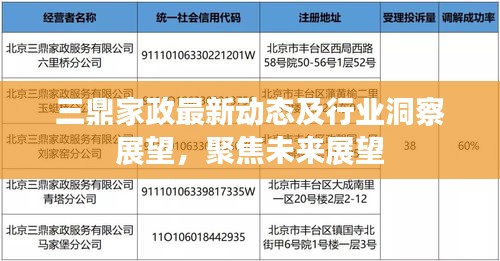 三鼎家政最新動(dòng)態(tài)及行業(yè)洞察展望，聚焦未來展望