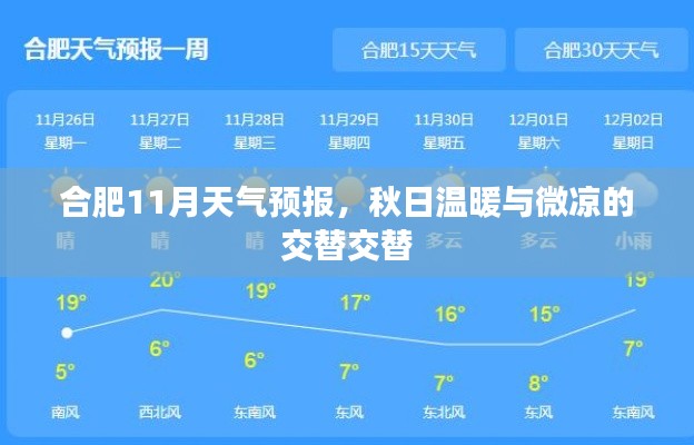 合肥11月天氣預(yù)報，秋日溫暖與微涼的交替交替