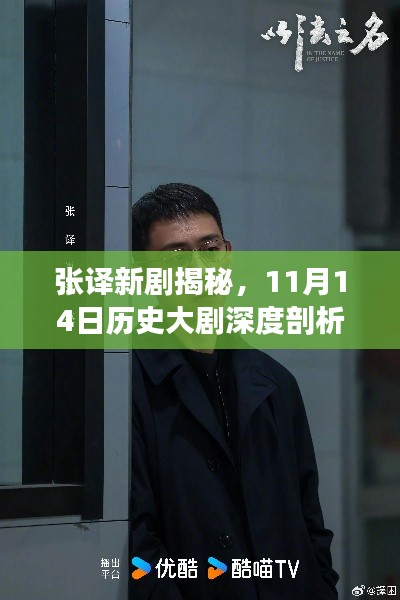 張譯新劇揭秘，11月14日歷史大劇深度剖析與目標用戶群體體驗分享