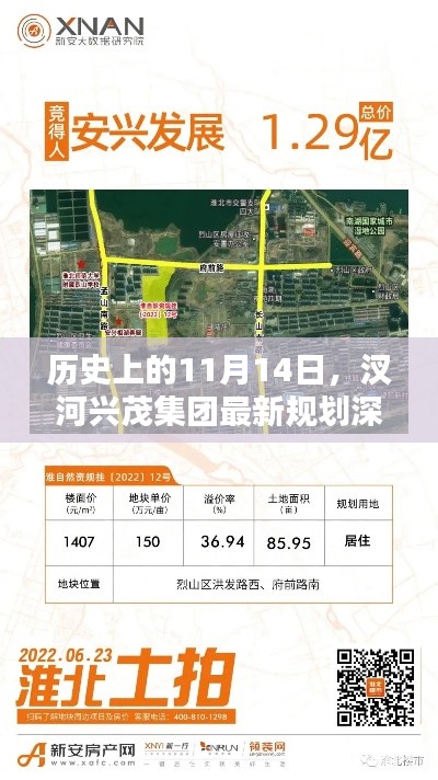 歷史上的11月14日，汊河興茂集團最新規(guī)劃深度解析與觀點探討