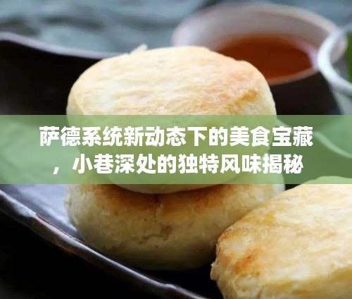 薩德系統(tǒng)新動態(tài)下的美食寶藏，小巷深處的獨特風(fēng)味揭秘