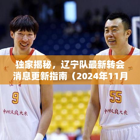 獨家揭秘，遼寧隊最新轉(zhuǎn)會消息更新指南（2024年11月14日）