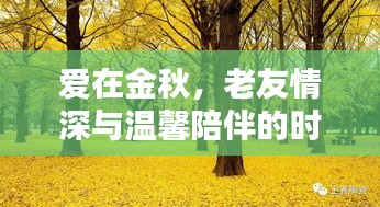 愛在金秋，老友情深與溫馨陪伴的時光