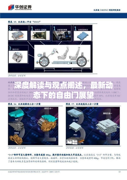 深度解讀與觀點闡述，最新動態(tài)下的自由門展望