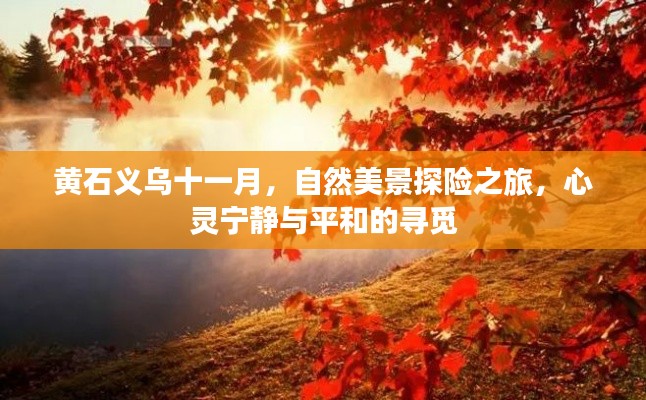 聯(lián)系我們 第580頁