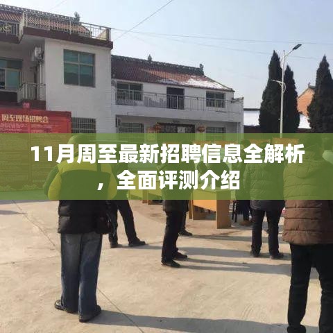 11月周至最新招聘信息全解析，全面評(píng)測(cè)介紹