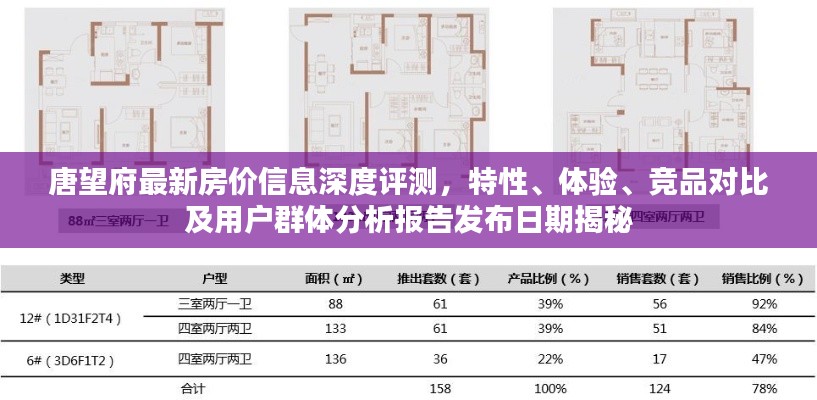 唐望府最新房?jī)r(jià)信息深度評(píng)測(cè)，特性、體驗(yàn)、競(jìng)品對(duì)比及用戶群體分析報(bào)告發(fā)布日期揭秘
