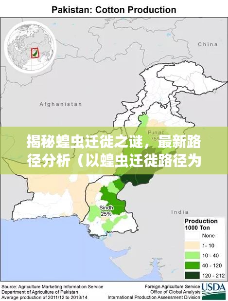 揭秘蝗蟲遷徙之謎，最新路徑分析（以蝗蟲遷徙路徑為例，時(shí)間，11月14日）