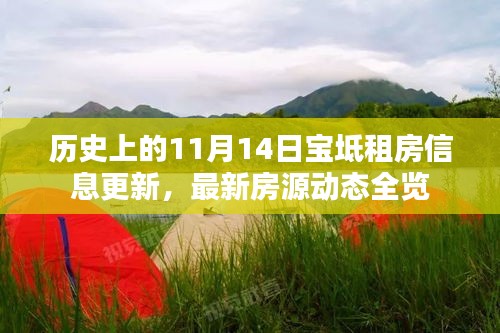 歷史上的11月14日寶坻租房信息更新，最新房源動態(tài)全覽