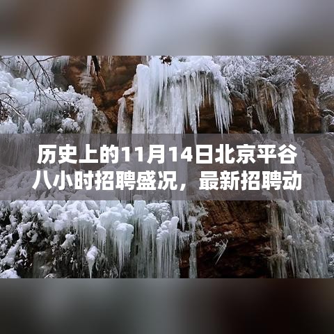 歷史上的11月14日北京平谷八小時(shí)招聘盛況，最新招聘動(dòng)態(tài)與職業(yè)盛宴回顧