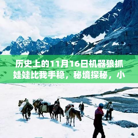 機器狼與我的抓娃娃奇緣，秘境探秘與抓娃娃大比拼的難忘經(jīng)歷（11月16日）