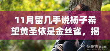 揭秘楊子與黃圣依背后的故事，傳聞中的金絲雀真相與留幾手的爆料