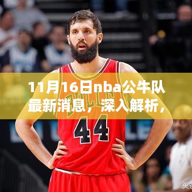 11月16日NBA公牛隊最新消息深度解析與全面評測
