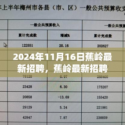 蕉嶺最新招聘2024年11月16日熱門職位全解析，把握未來，從這里起航