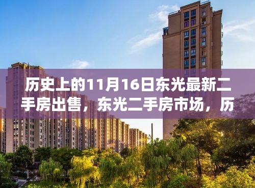 歷史上的11月16日，東光二手房市場(chǎng)最新動(dòng)態(tài)與回顧影響